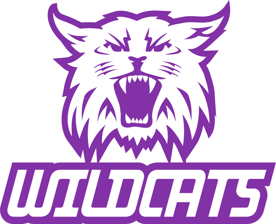 Weber State Wildcats 2008-2012 Secondary Logo v2 iron on transfers for T-shirts